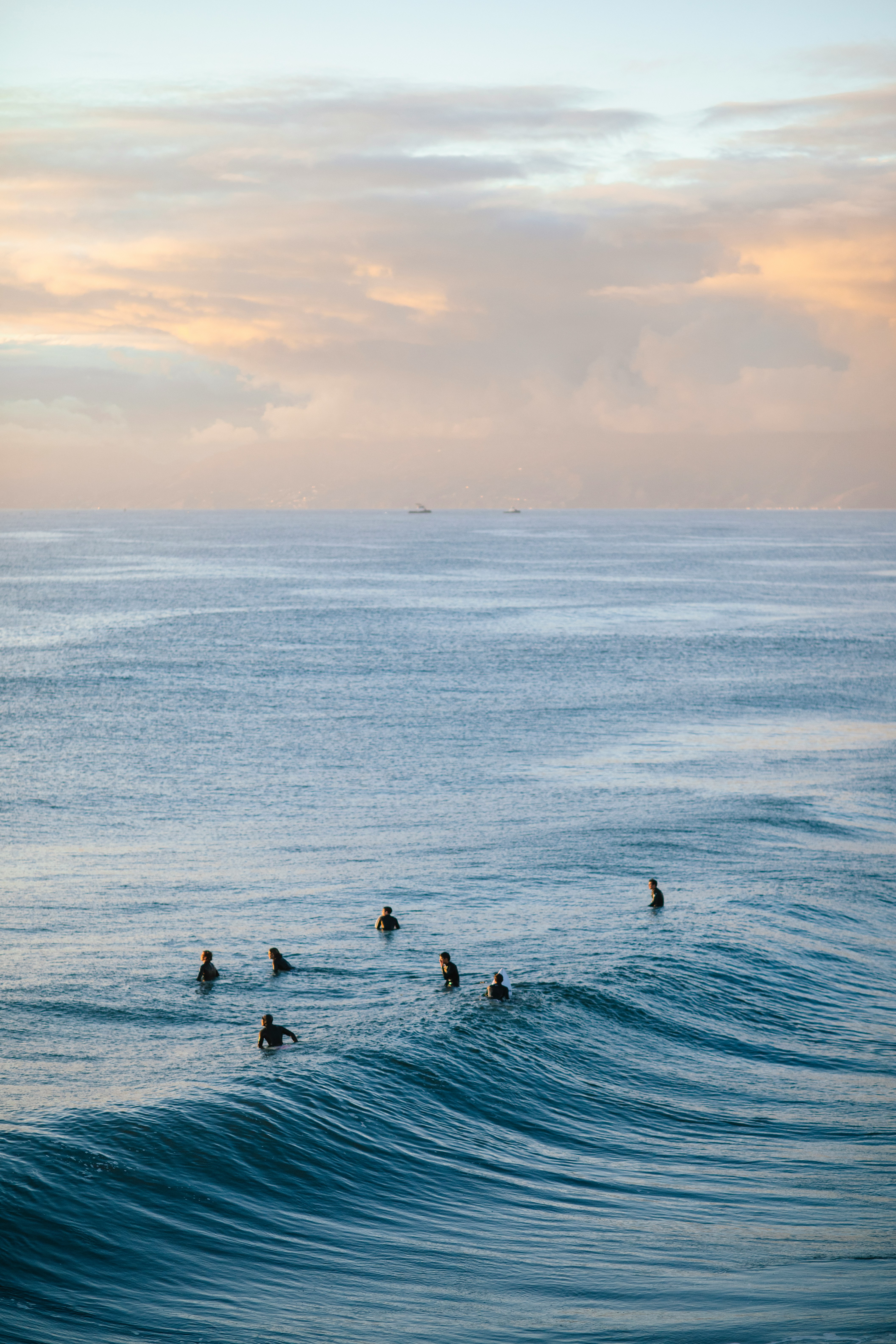 Surfers at sunset
